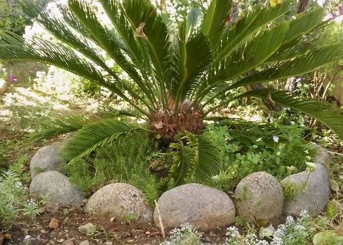 Lägenhet Charming With Sea View In - 27 Sqm Sumartin